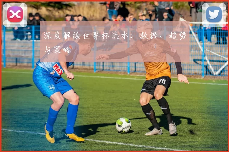深度解读世界杯流水：数据、趋势与策略