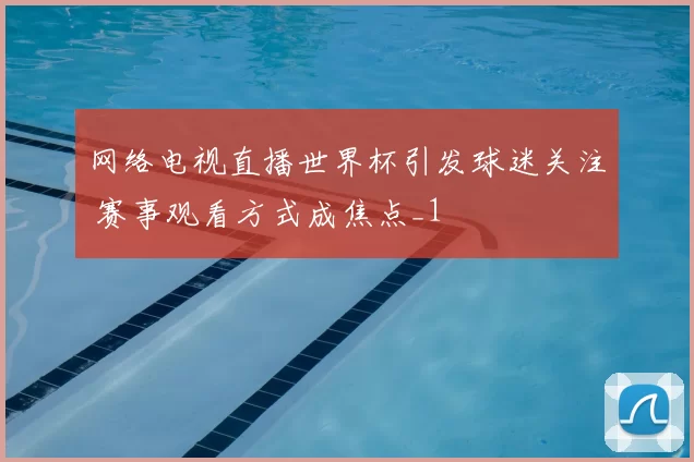 网络电视直播世界杯引发球迷关注 赛事观看方式成焦点_1