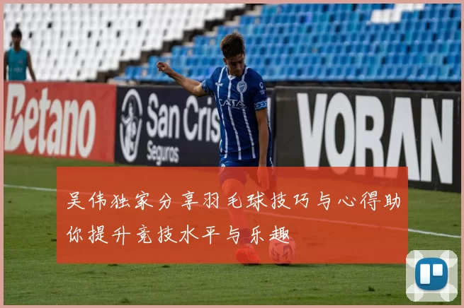 吴伟独家分享羽毛球技巧与心得助你提升竞技水平与乐趣