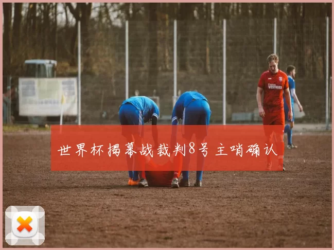 世界杯揭幕战裁判8号主哨确认