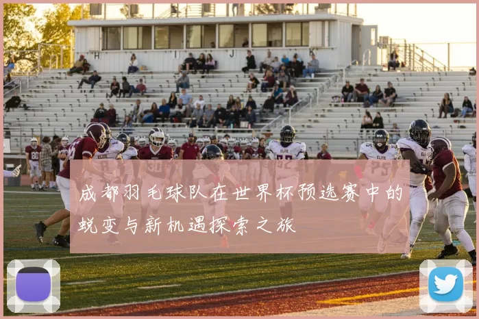 成都羽毛球队在世界杯预选赛中的蜕变与新机遇探索之旅