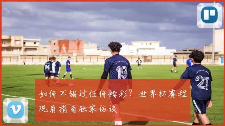 如何不错过任何精彩？世界杯赛程观看指南独家访谈