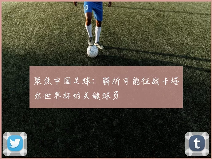 聚焦中国足球：解析可能征战卡塔尔世界杯的关键球员