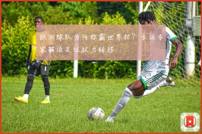 欧洲球队为何称霸世界杯？专访专家解读足坛权力转移