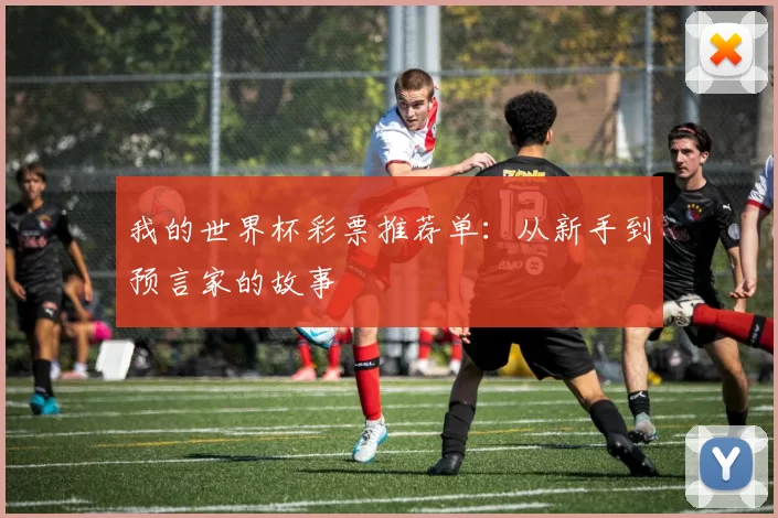 我的世界杯彩票推荐单：从新手到预言家的故事