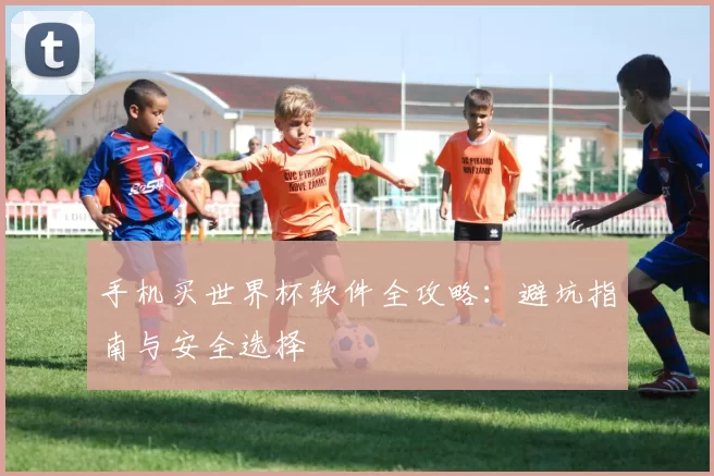 手机买世界杯软件全攻略：避坑指南与安全选择