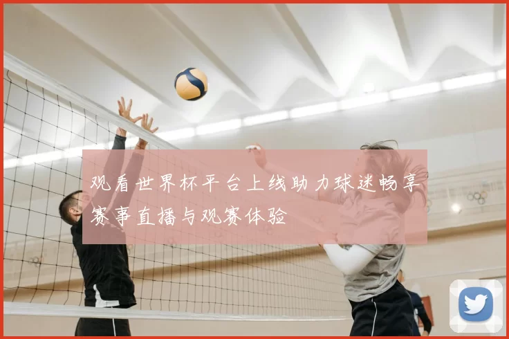 观看世界杯平台上线助力球迷畅享赛事直播与观赛体验