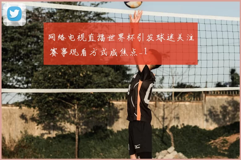 网络电视直播世界杯引发球迷关注 赛事观看方式成焦点_1