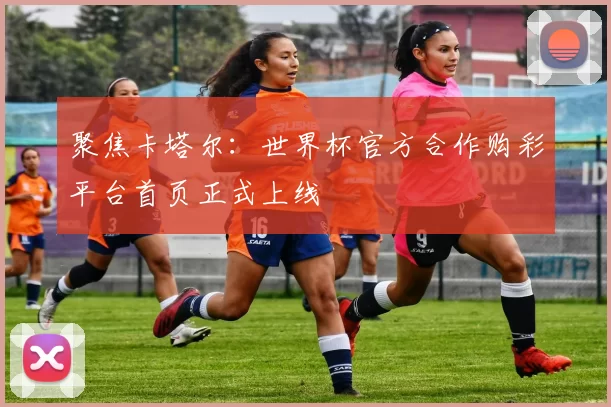 聚焦卡塔尔：世界杯官方合作购彩平台首页正式上线