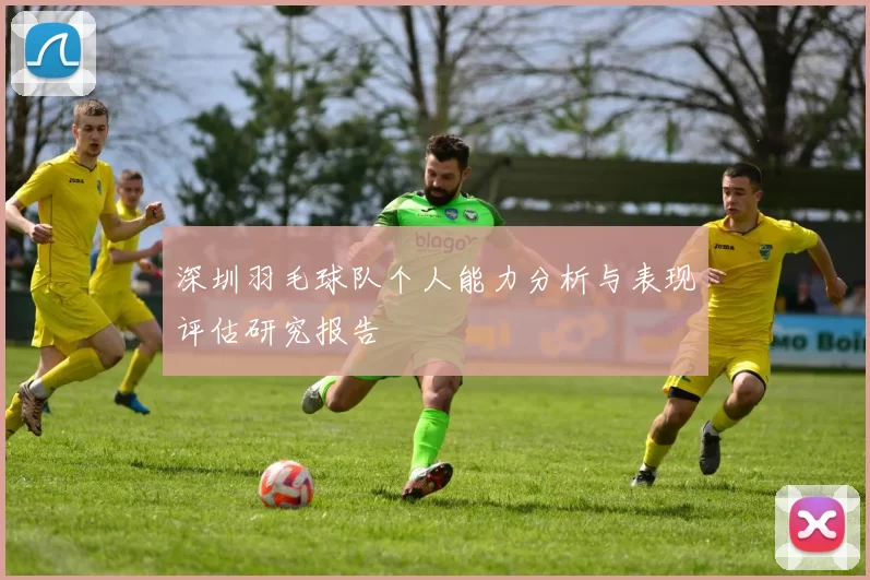 深圳羽毛球队个人能力分析与表现评估研究报告